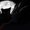Kostini Mikado - Black Owl
