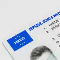 Fake ID