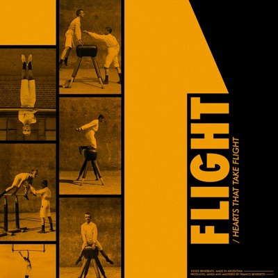 FLIGHT - Single