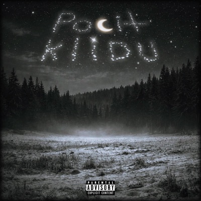 Pocit Klidu - Single