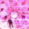 SUNRAYS - SWAMPBABYY lyrics