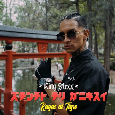 Rayas al tigre - Single