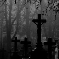 DO NOT DiSTURB - Single - MiiND & KiD KAMi