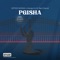 Pgisha (feat. אור בן דוד) artwork