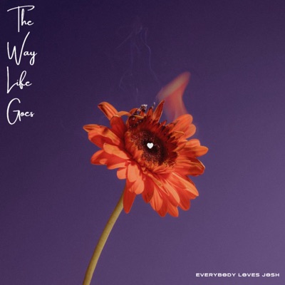 The Way Life Goes - Single