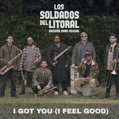 I Got You (I Feel Good) - Single