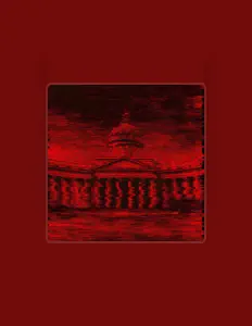 收听 MNDIE、观看音乐视频、阅读小传、查看巡演日期等 ！