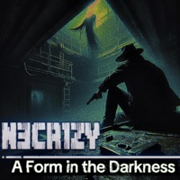 A Form in the Darkness - Single - N3cr1Zy
