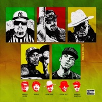 Tem Que Ter Fé (feat. B-Real & Erick Jay) - Single - Green Alien, Dow Raiz & Murilo Banton