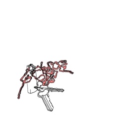 So Close (feat. Young Shushu & Txrzyk) 888 CJ