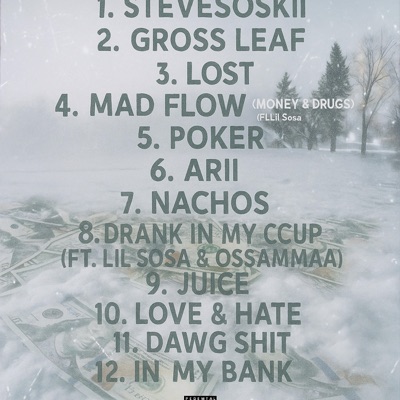 MAD FLOW (Money And Drugs) (feat. Lil Sosa) - Single