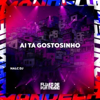 Ai Ta Gostosinho - Single - Halc DJ