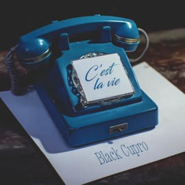 C'est la vie Black Cupro
