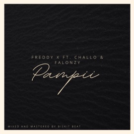 PAMPii (feat. Challo & Falonzy) Freddy X