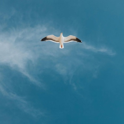 Free My Soul (Short Version) - Single