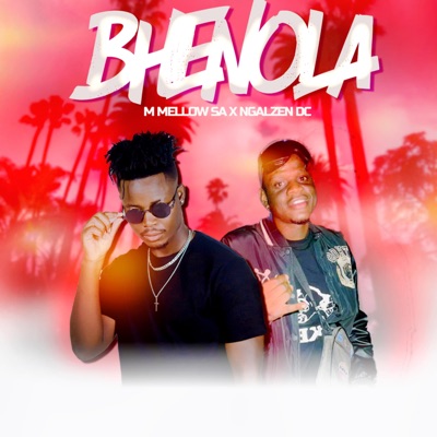 Bhenola (feat. Ngalzen dc) - Single