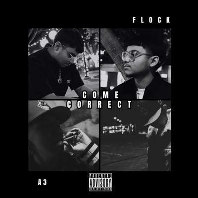 Come Correct (feat. Flock) - Single