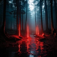 Rachel's Dream - Single - Bihler