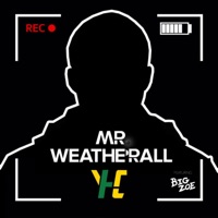 Mr. Weatherall (feat. Big Zoe) [Sped up & Slowed Down] - Single - Young Hub City
