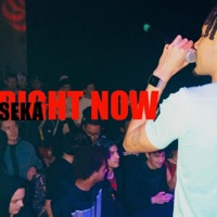 RIGHT NOW - Single - Seka