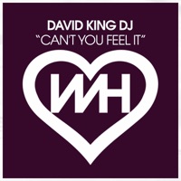 Can't You Feel It - Single - David King DJ