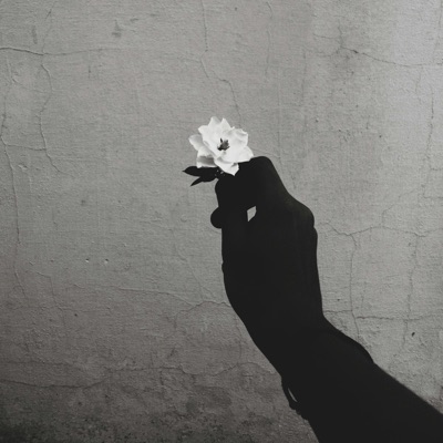 Audrey's Song (In My Heart) - Single