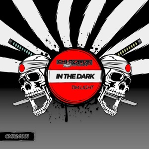 In the Dark - Single