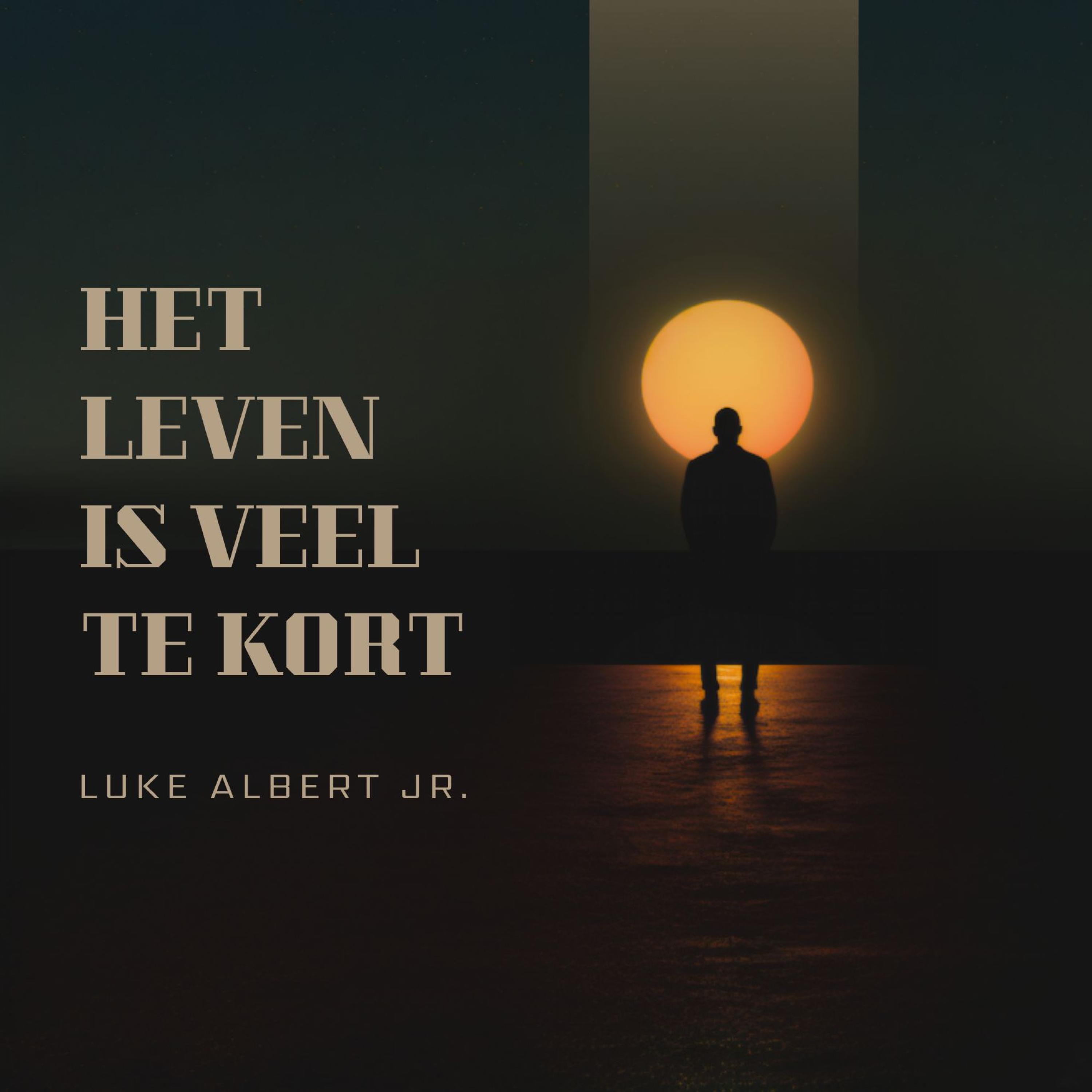 Het leven is veel te kort - Single
