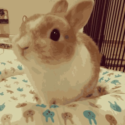 eu juro que eu tentei - Single