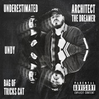 Underestimated (feat. Bag Of Tricks Cat & UNDY) - Single - Architect The Dreamer