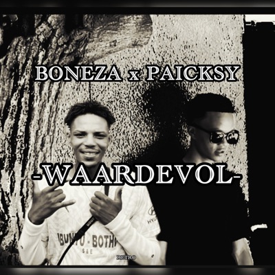 WAARDEVOL (feat. BONEZA) - Single