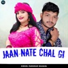 Jaan Nate Chal Gi - Single