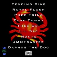 Maryland Touch (feat. Royal Flush, Phee Tring, Tank Tummy, Thee Obi, Lil Sac, Mønto, JMDToaster & Daphne the Dog) - Single - Tending Bike