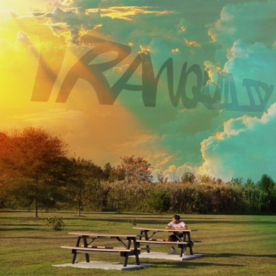 Tranquility (Sped Up) - Single