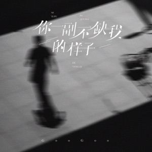你一副不缺我的样子 - Single