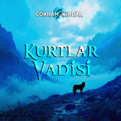 Kurtlar Vadisi 2003 song art