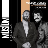 Dinleyin Beni Dağlar (Enstrümantal) - Single - Müslüm Gürses & DJ Orcun