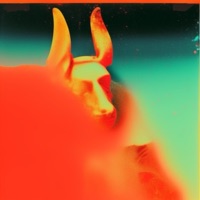 I'm Mady - Chakana (feat. I'm Mady) - Single - Jaco Records.