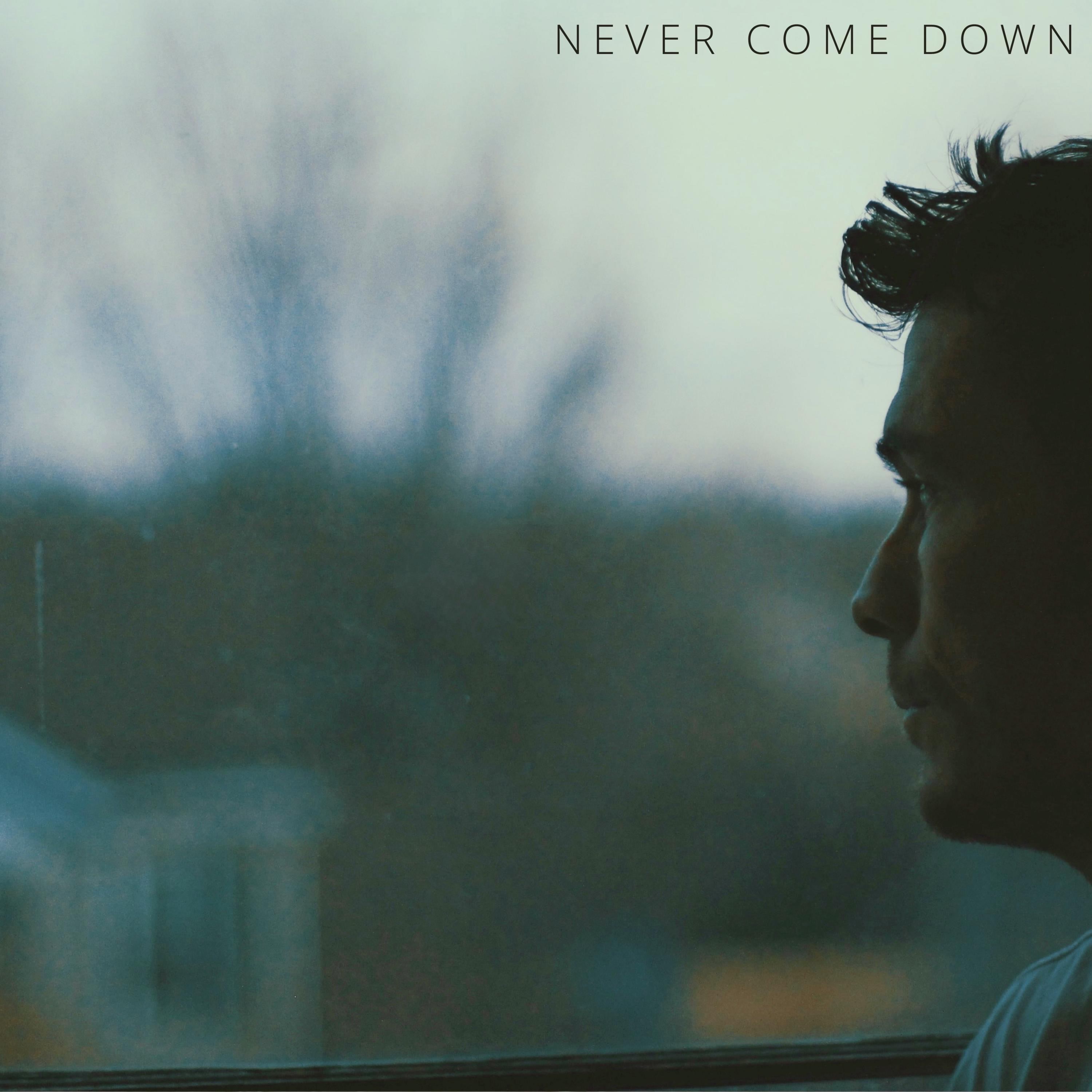 Never Come Down - Single