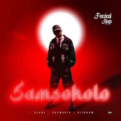 Samsokolo (feat. Skymadys & 2Lane & Kiiddow) - Single