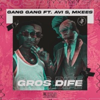 Gros Difé (feat. AVI S & Mkees) - Single - Gang Gang