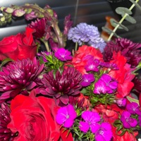 introvert - Single - LessThanFriends