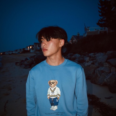 pages - Single