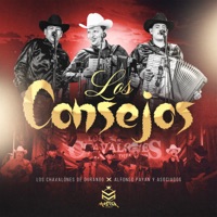 Los Consejos - Single - chavalones de durango & Alfonso Payan y Asociados