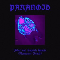 Paranoid (feat. Capsule Courts) [Remancer Remix] - Single - Remancer