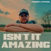 Isn't It Amazing - Single