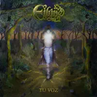 Tu Voz — Eiluve