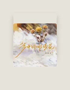 聆聽 塔斯肯、觀看音樂影片、閱讀小傳、查看巡演日期等！