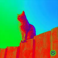 Curiosity — Hagen Feetly