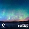 Borealis - Single